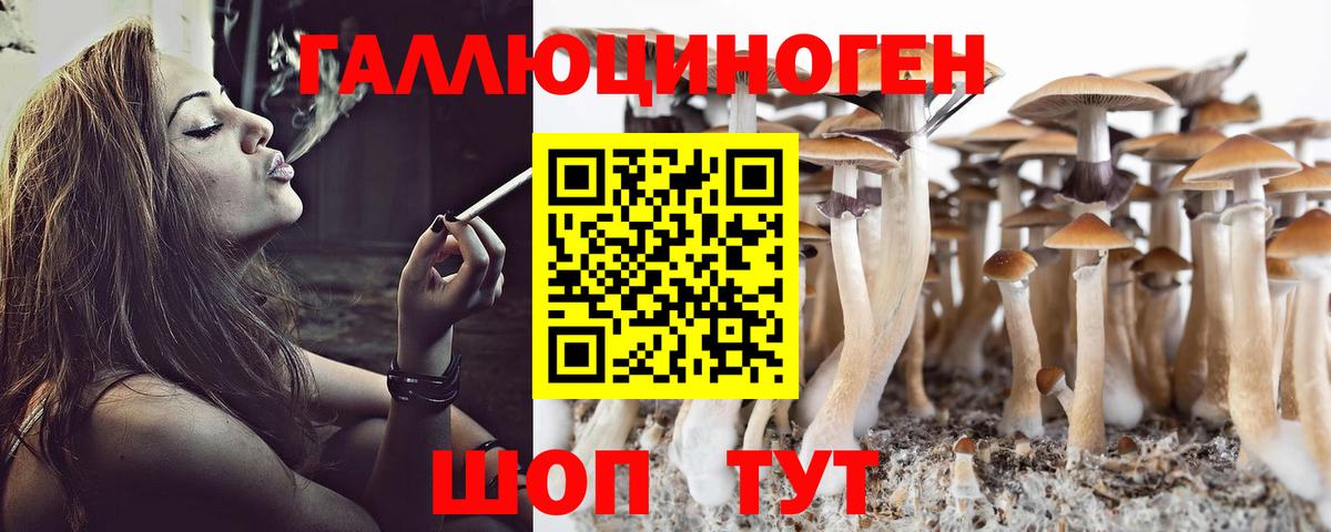 Галлюциногенные грибы Psilocybe  Псилоцибиновые грибы Magic Shrooms  Чехов  Вход с VPN 